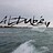 dube295