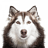 avonsec
