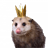 reedveggleston
