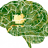 RootTaken