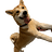 sk00ma