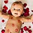 Haren_Bauva