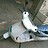 Rubal_Verma
