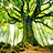 A_green_Tree