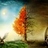 b_hitesh