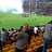 Janario_Oliveira
