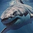 Jason_Donnell