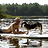 joe_meiring