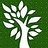 PalmLeaf_Co