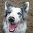Steve_Osselton