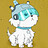 Tomer_Amir