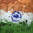 Yash_Shah