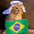 GATO_ARABE