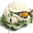 Marcabru