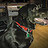 Neil_K