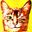outerspacecat