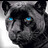 Panther