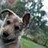 peter_ripa