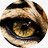 yellow_eyez